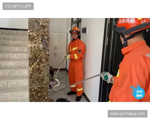 ag视讯竟眯厅的技术保障与安全措施详解 ag视讯竟眯厅的技术保障与安全措施详解