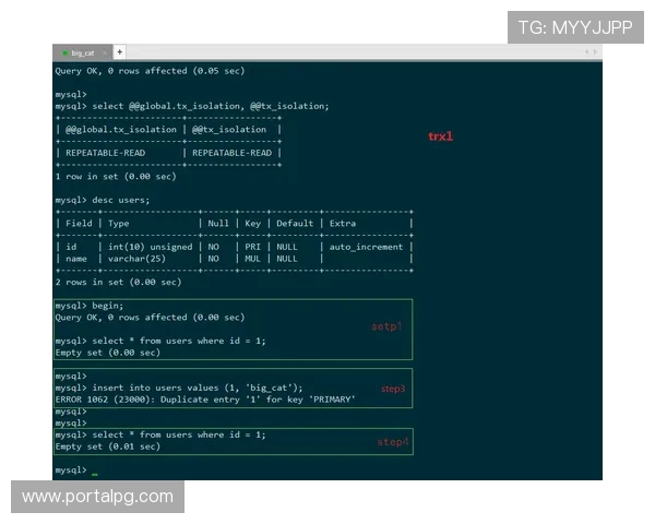 迈博真人会员登录遇到问题怎么办？解决方案全攻略等你来读